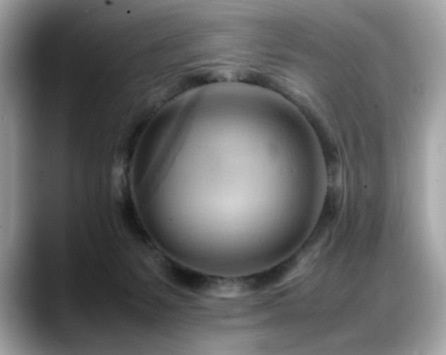X0000088740127200705311454