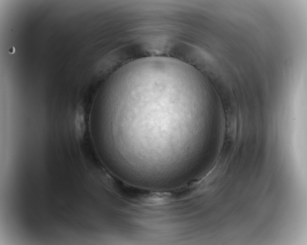 X0000088740128200705311454