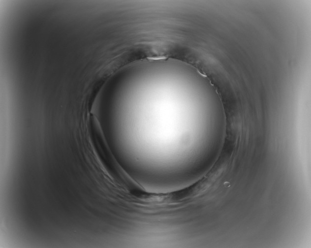 X0000088740129200705311454