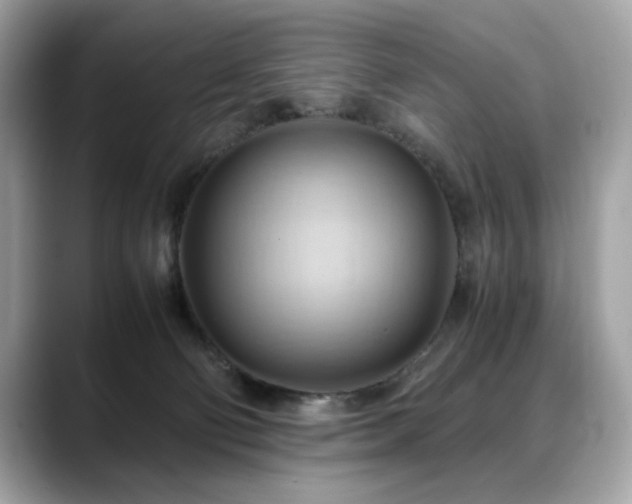 X0000088740130200705311454