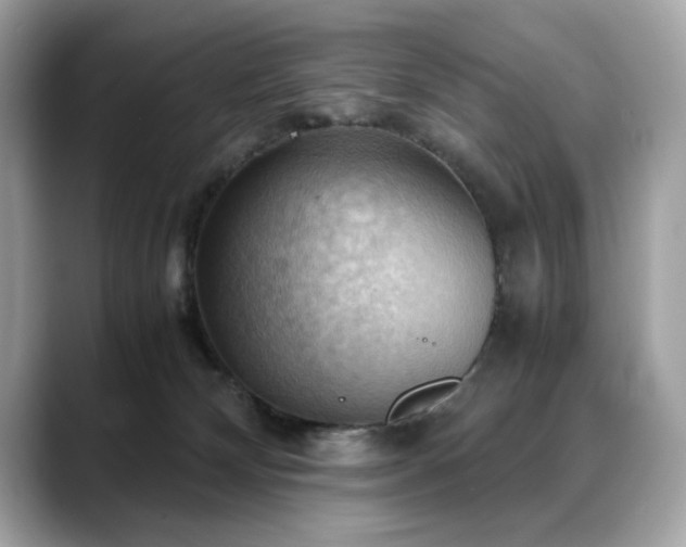 X0000088740132200705311454