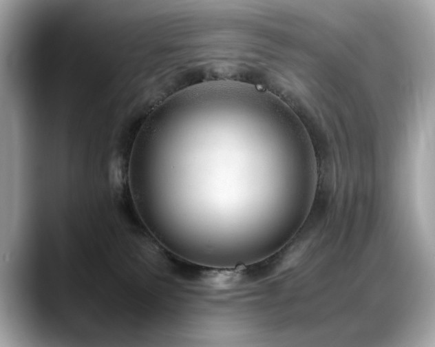 X0000088740135200705311454