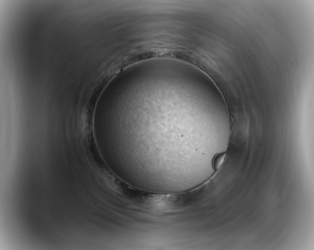 X0000088740136200705311454