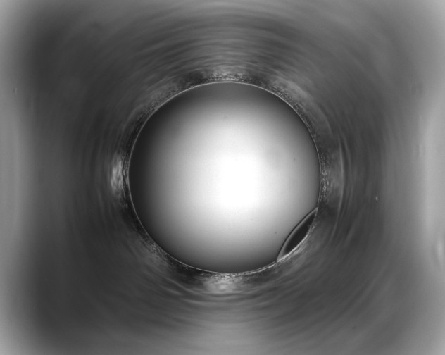 X0000088740142200705311454