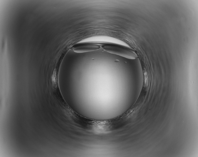 X0000088740143200705311454