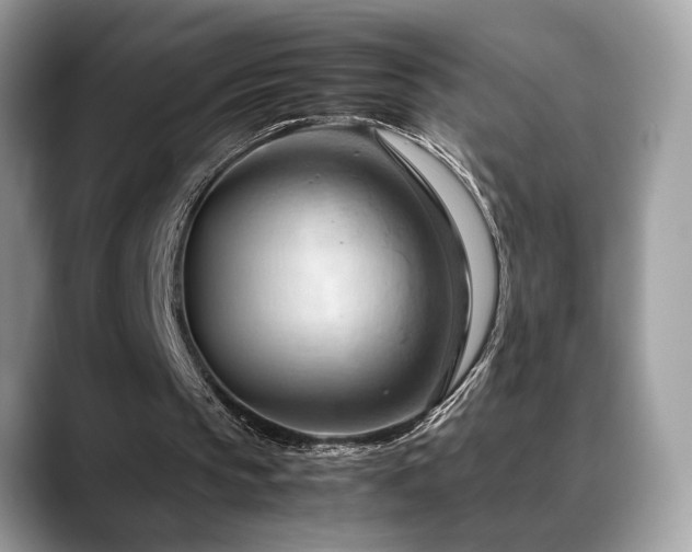 X0000088740145200705311453