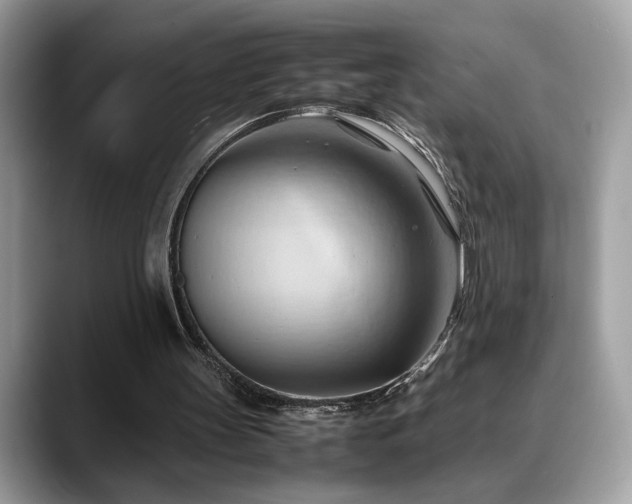X0000088740147200705311453