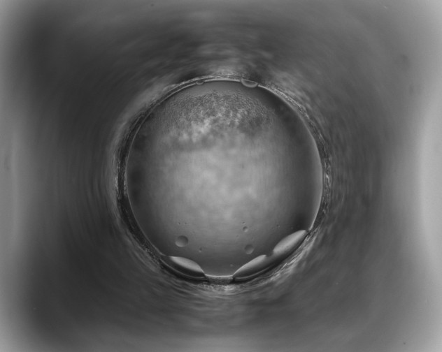 X0000088740149200705311453