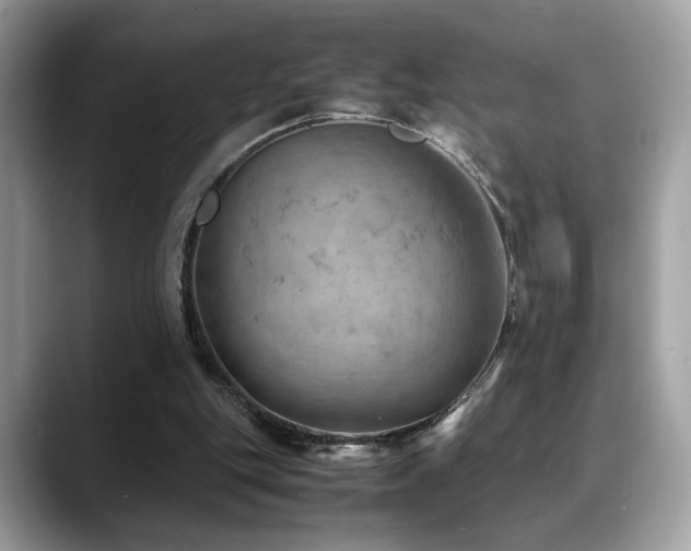 X0000088740151200705311454