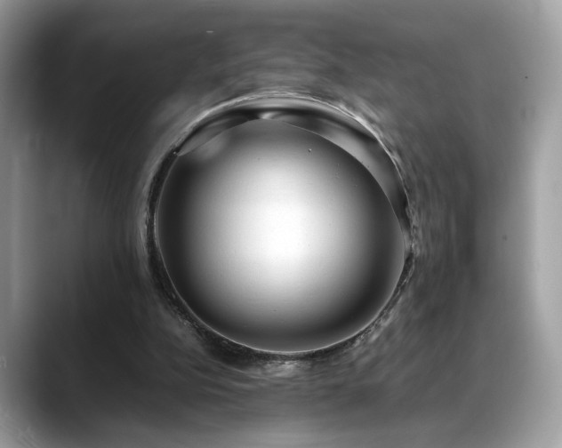 X0000088740152200705311454