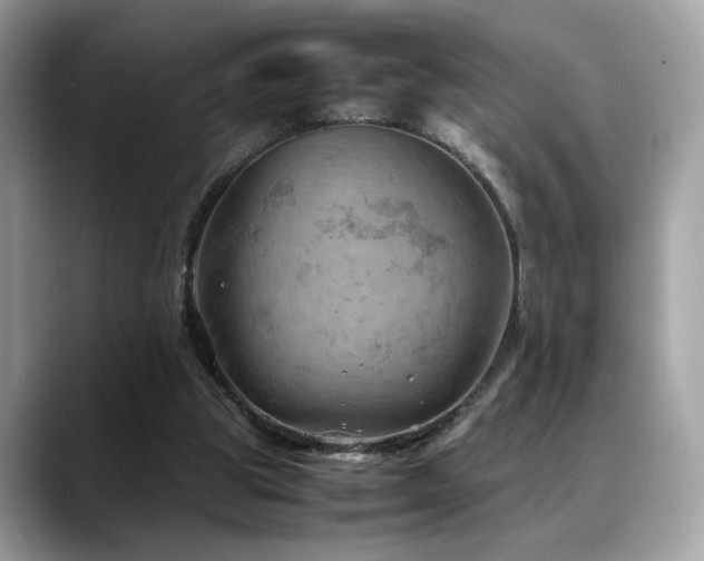 X0000088740153200705311454