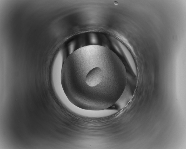 X0000088740154200705311454