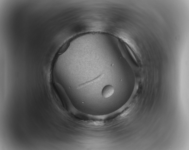 X0000088740156200705311454