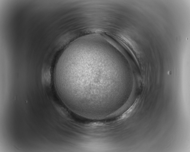 X0000088740158200705311454