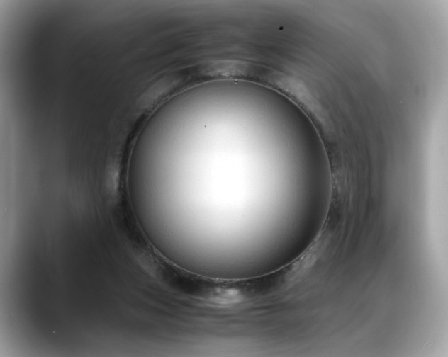 X0000088740159200705311454