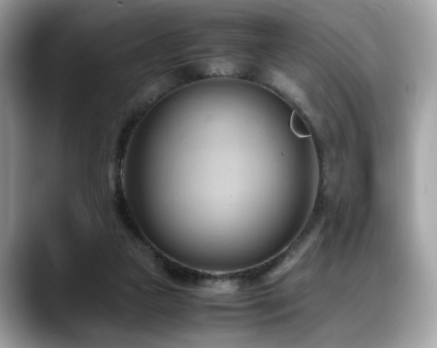 X0000088740161200705311454