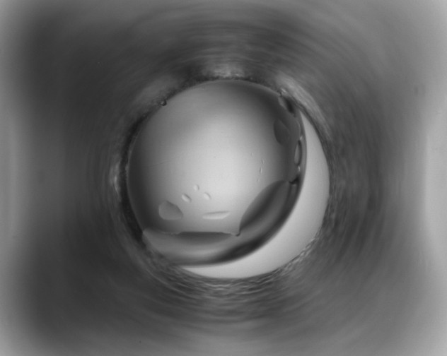 X0000088740163200705311454