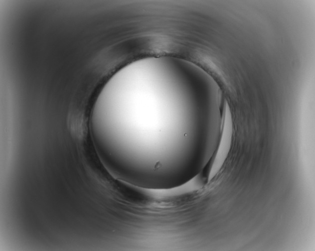 X0000088740164200705311454