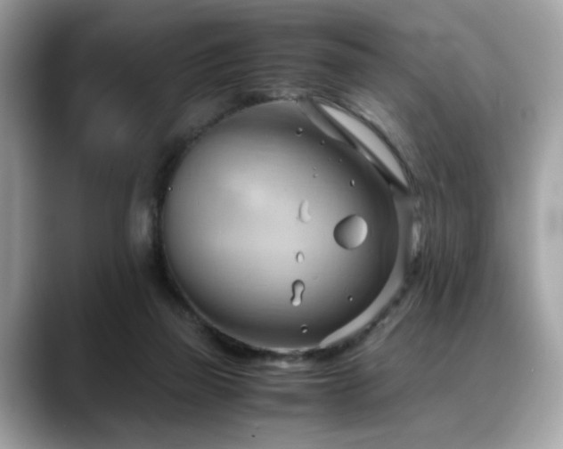 X0000088740165200705311454