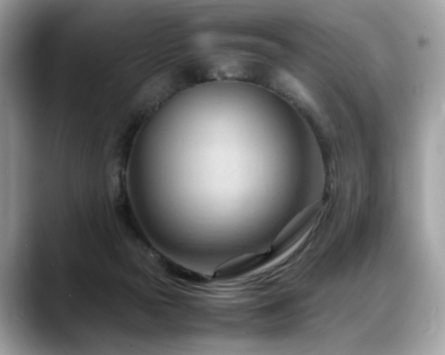 X0000088740169200705311454