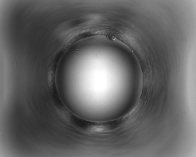 X0000088740171200705311454