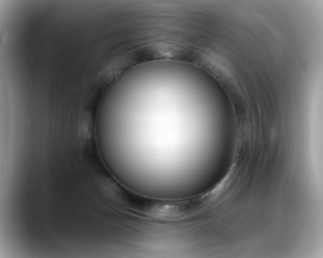 X0000088740174200705311454