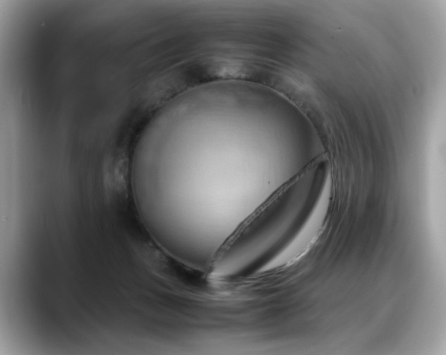X0000088740175200705311454