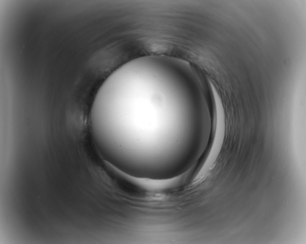 X0000088740176200705311454