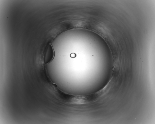 X0000088740179200705311454