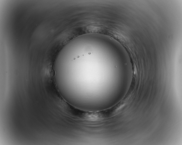 X0000088740181200705311454