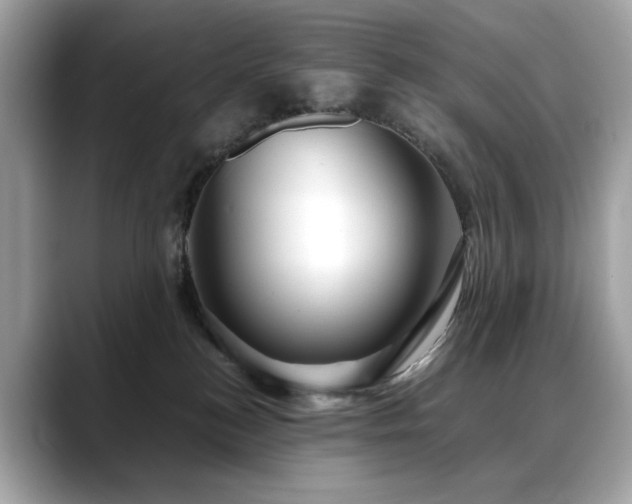 X0000088740184200705311454