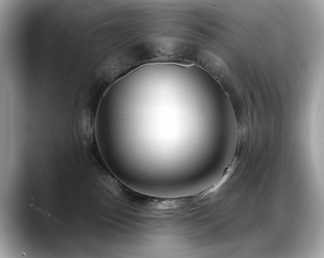 X0000088740186200705311454