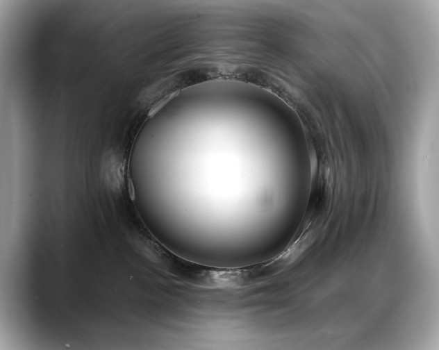 X0000088740188200705311454