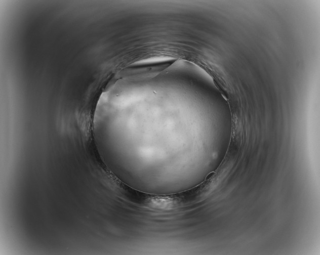 X0000088740189200705311454