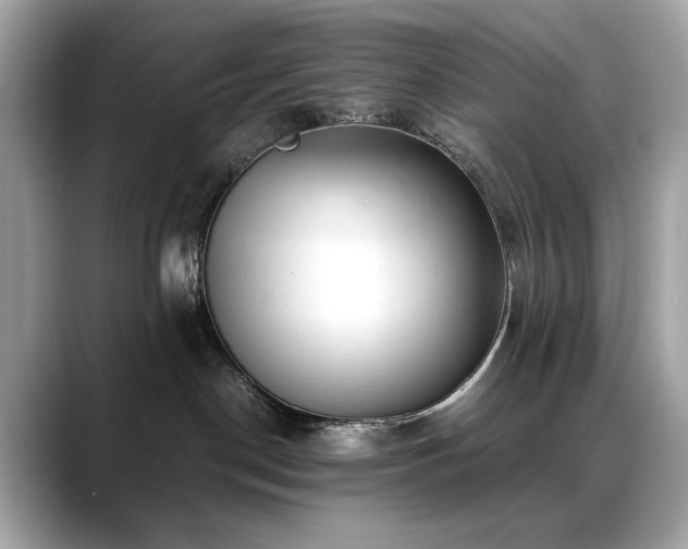 X0000088740190200705311454