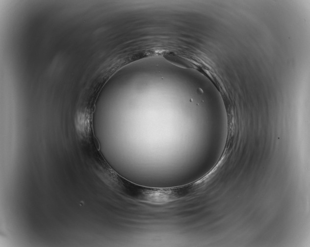 X0000088740191200705311454