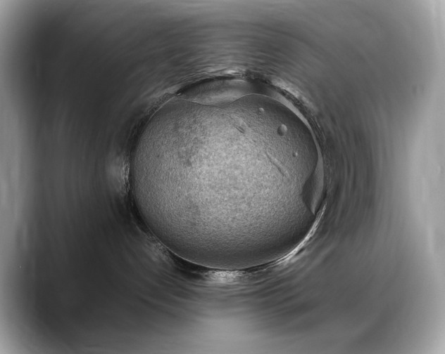 X0000088740192200705311454