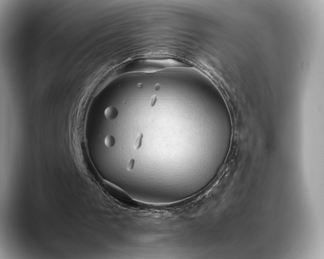 X0000088740193200705311453