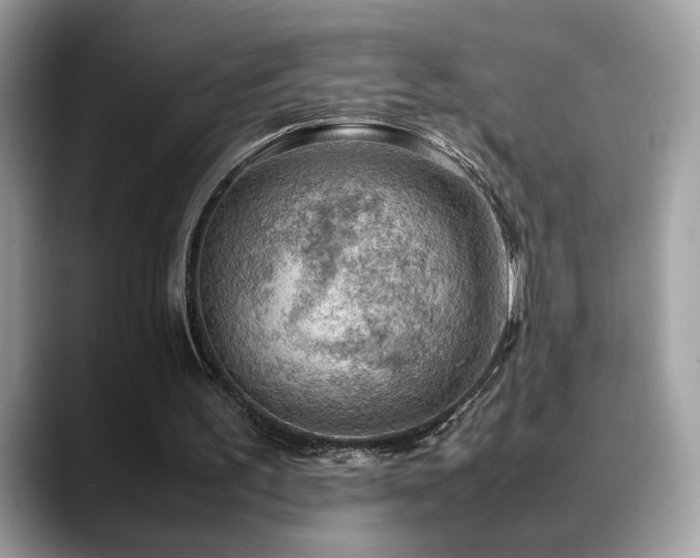 X0000088740195200705311453