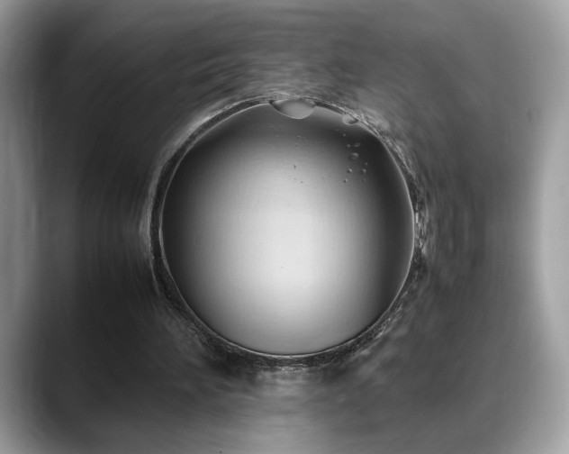 X0000088740196200705311453