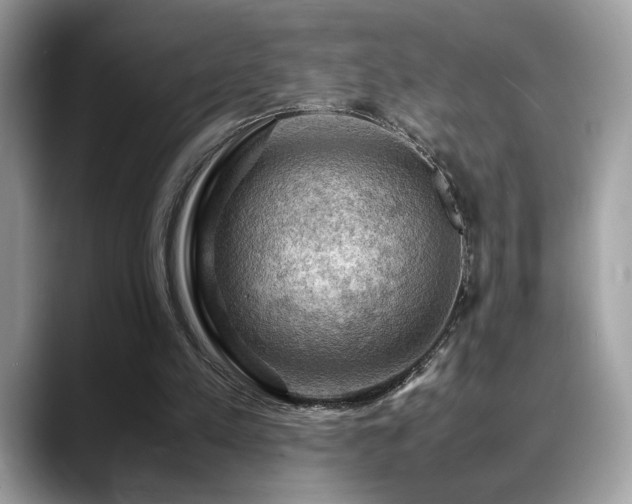 X0000088740197200705311453