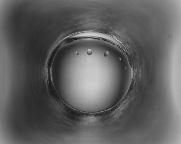 X0000088740198200705311453