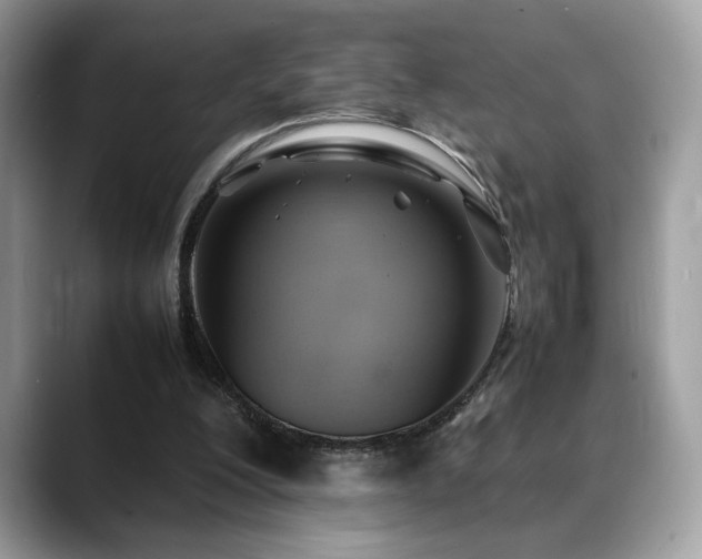 X0000088740200200705311453