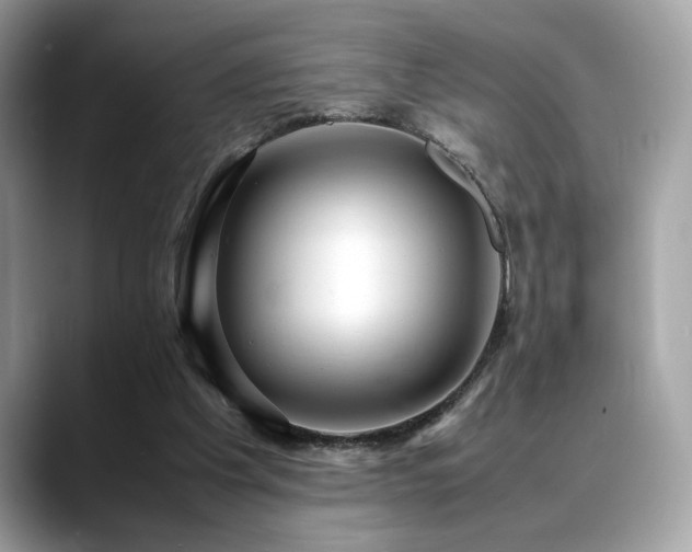 X0000088740201200705311453