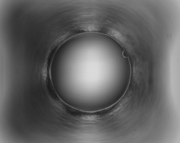X0000088740202200705311453