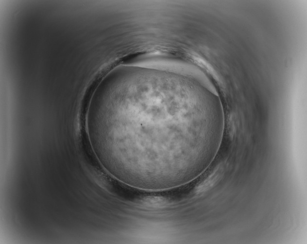 X0000088740203200705311453
