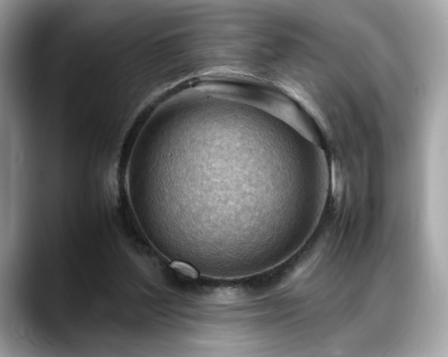 X0000088740204200705311453
