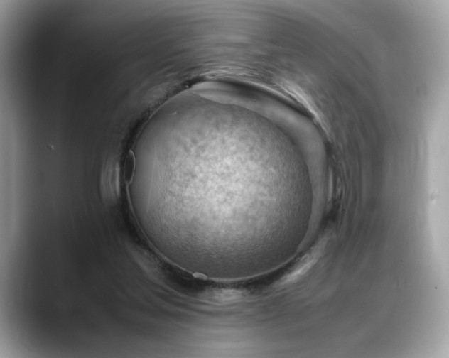 X0000088740205200705311453