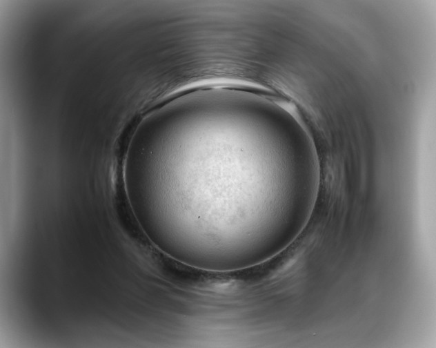 X0000088740206200705311453