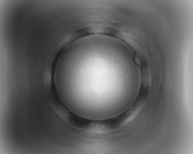 X0000088740207200705311453